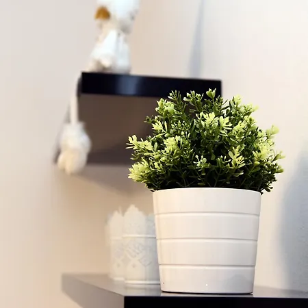 Apartment J&v